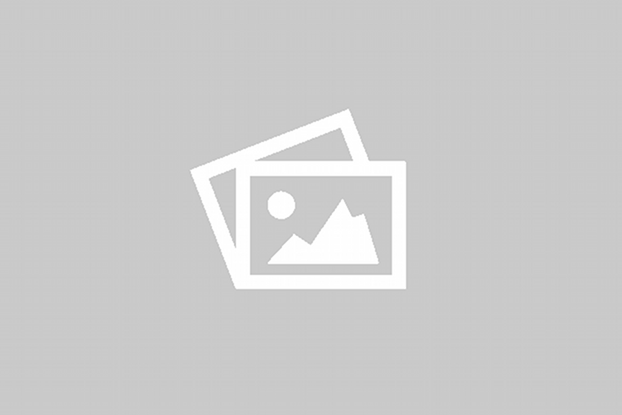 Organic Passion Natural Latex & Pocketed Spring Mattress